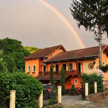 Pensiunea Ana Cristina Sighisoara Ngoại thất bức ảnh