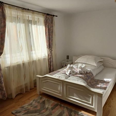 Pensiunea Ana Cristina Sighisoara Ngoại thất bức ảnh
