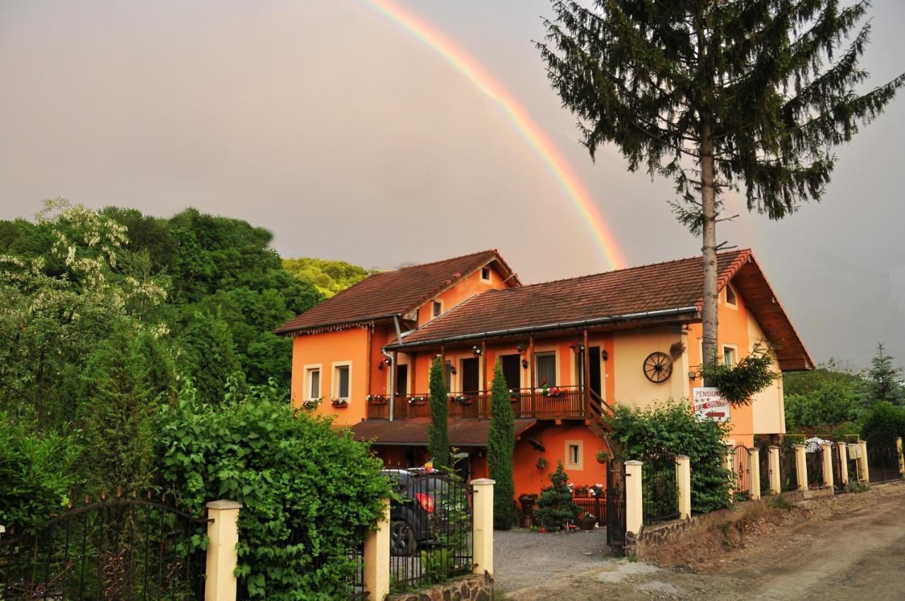 Pensiunea Ana Cristina Sighisoara Ngoại thất bức ảnh