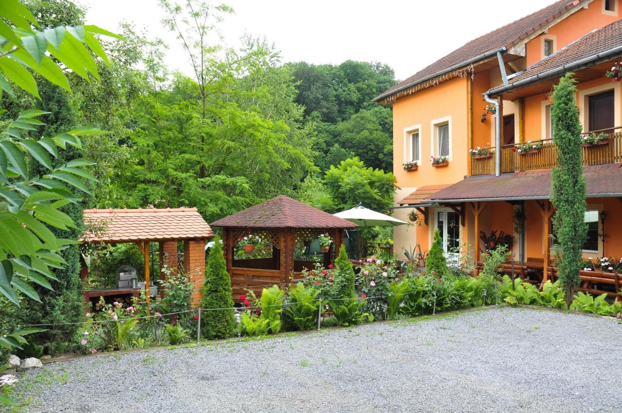 Pensiunea Ana Cristina Sighisoara Ngoại thất bức ảnh