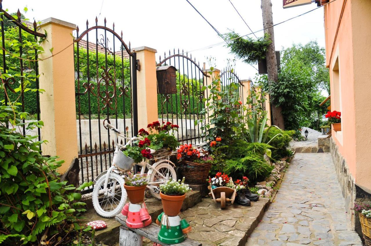 Pensiunea Ana Cristina Sighisoara Ngoại thất bức ảnh