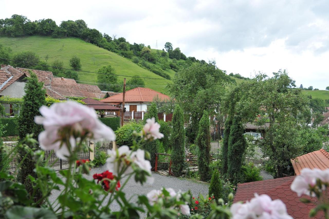 Pensiunea Ana Cristina Sighisoara Ngoại thất bức ảnh