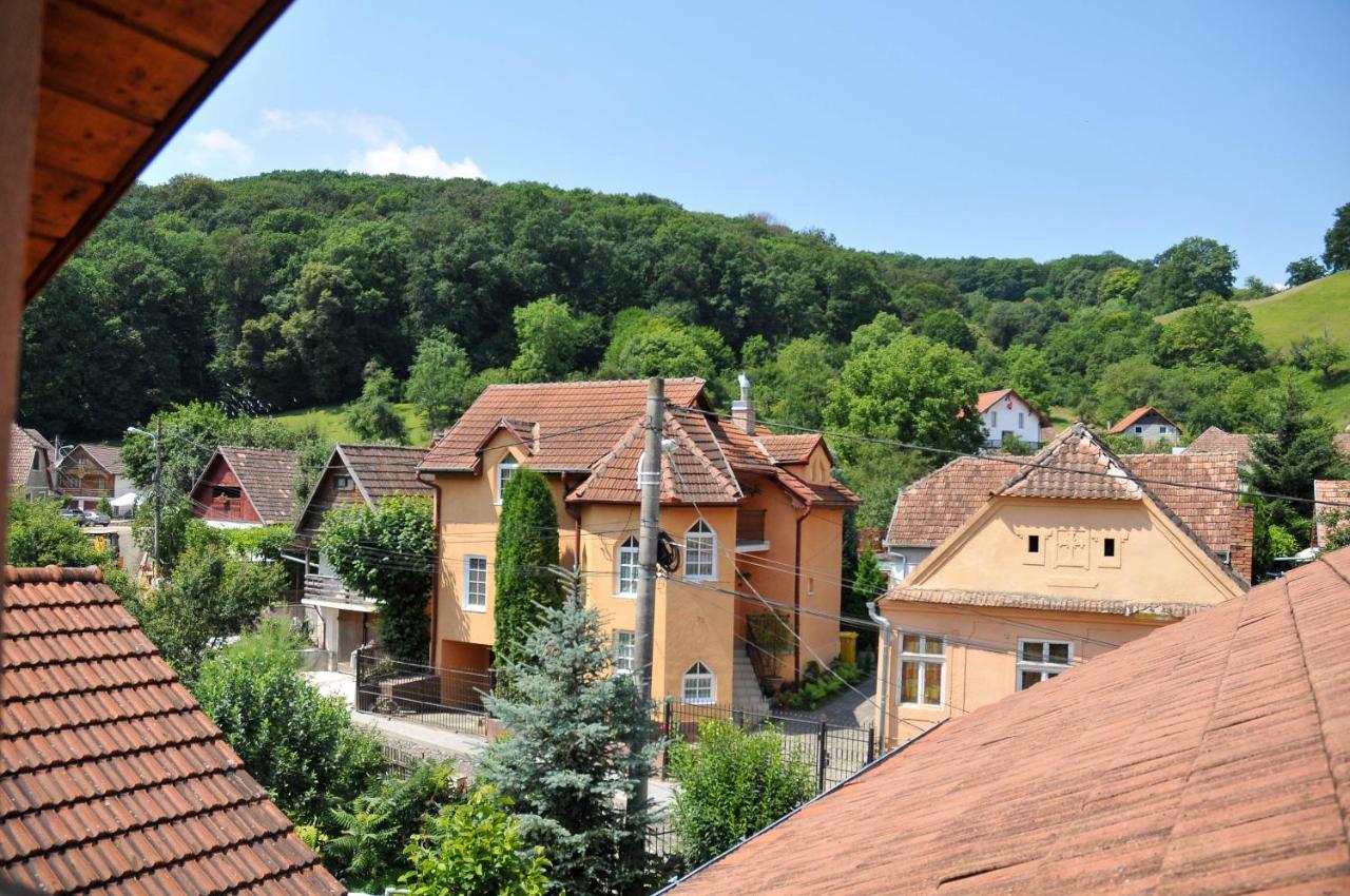Pensiunea Ana Cristina Sighisoara Ngoại thất bức ảnh
