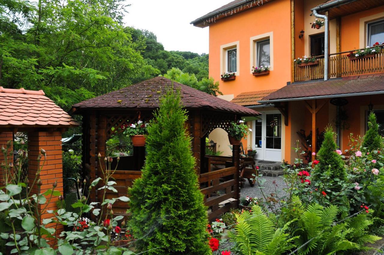 Pensiunea Ana Cristina Sighisoara Ngoại thất bức ảnh
