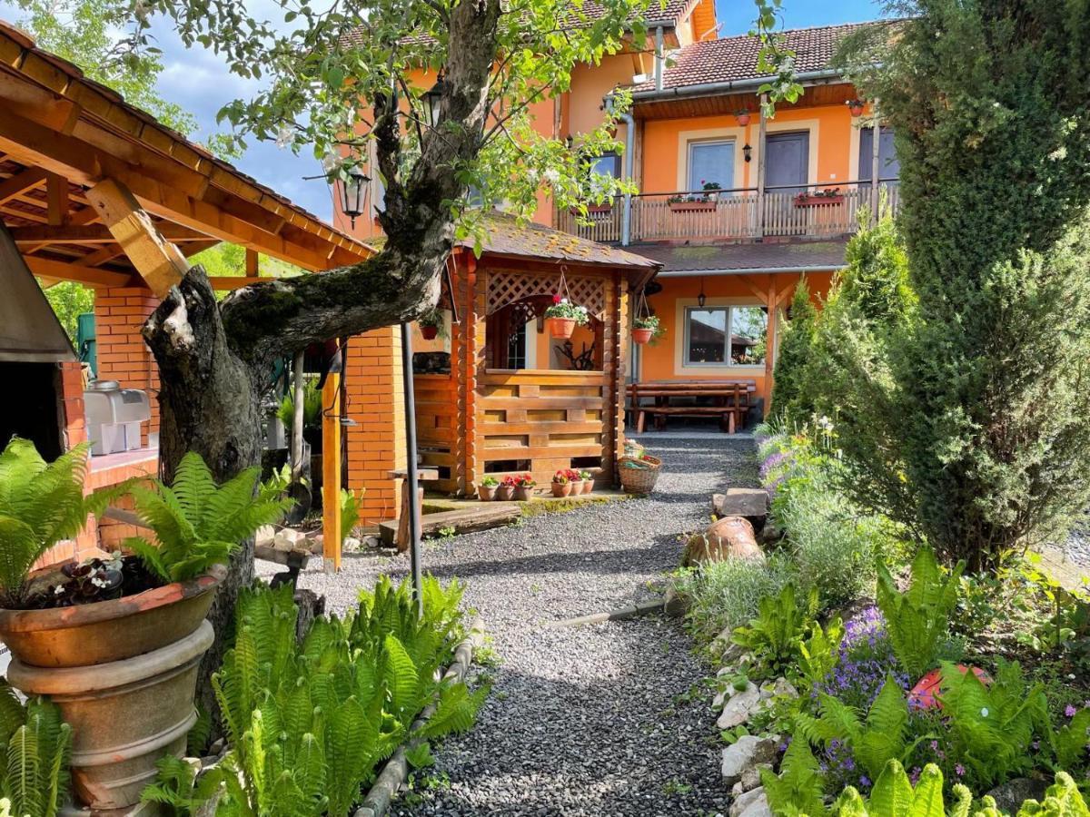 Pensiunea Ana Cristina Sighisoara Ngoại thất bức ảnh