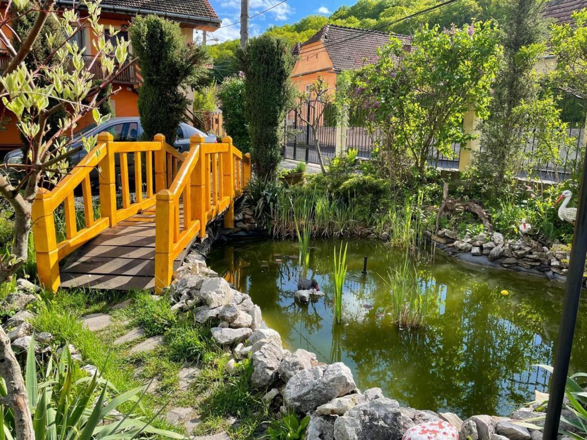 Pensiunea Ana Cristina Sighisoara Ngoại thất bức ảnh