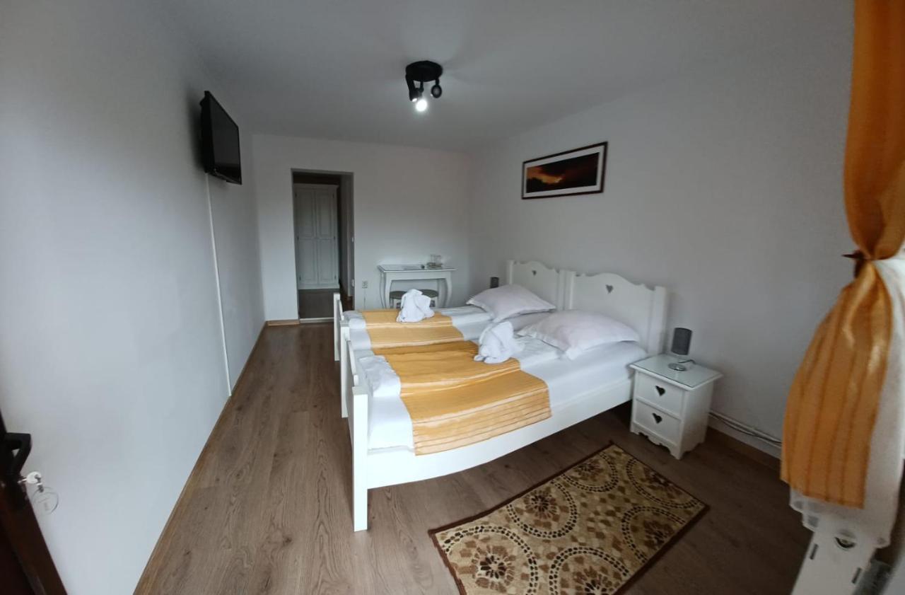 Pensiunea Ana Cristina Sighisoara Ngoại thất bức ảnh