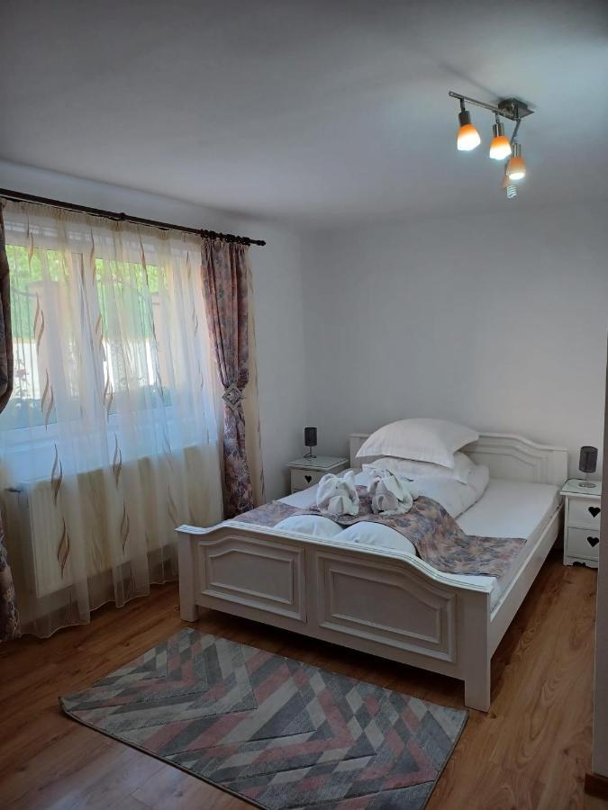 Pensiunea Ana Cristina Sighisoara Ngoại thất bức ảnh