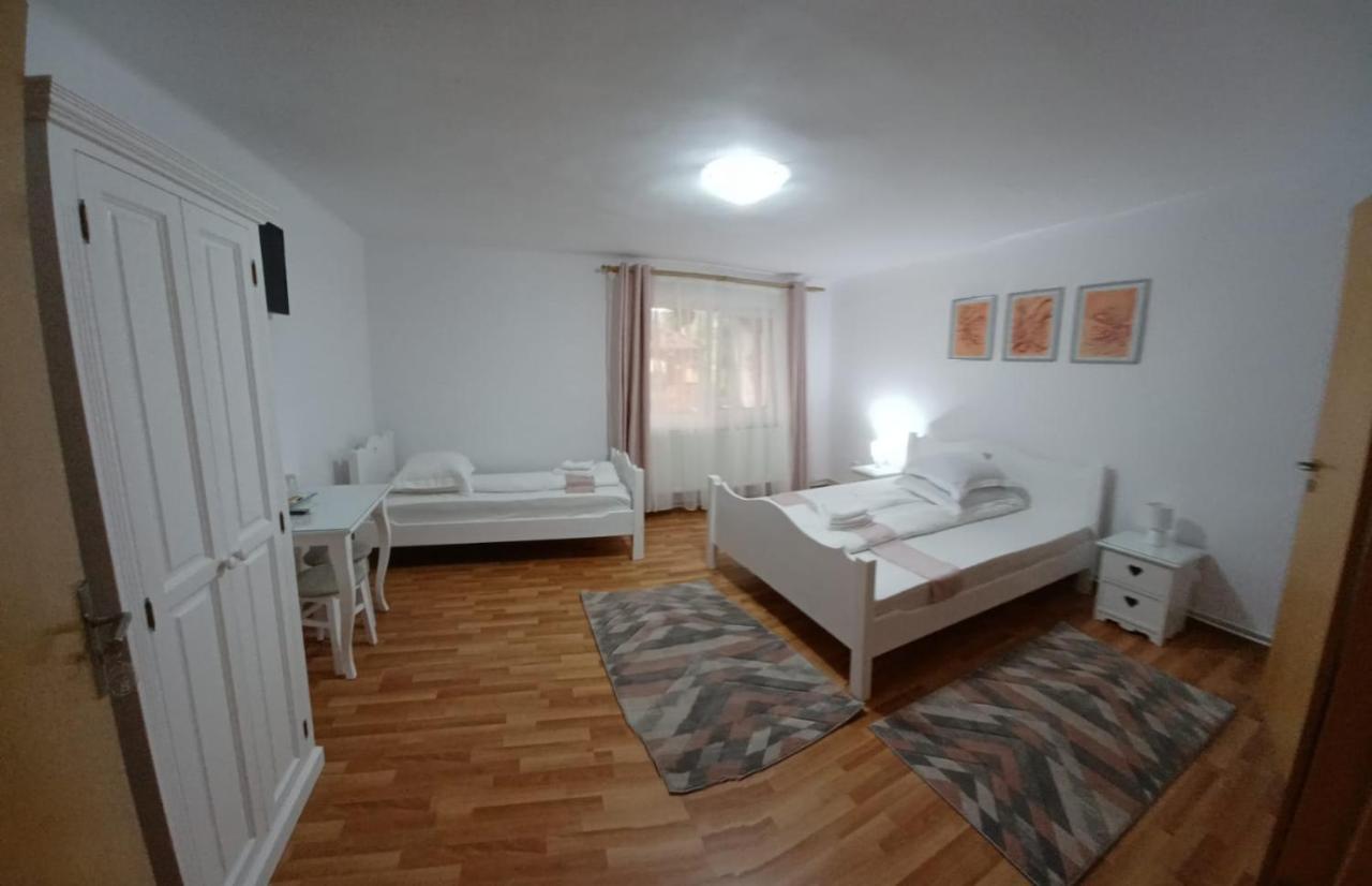Pensiunea Ana Cristina Sighisoara Ngoại thất bức ảnh