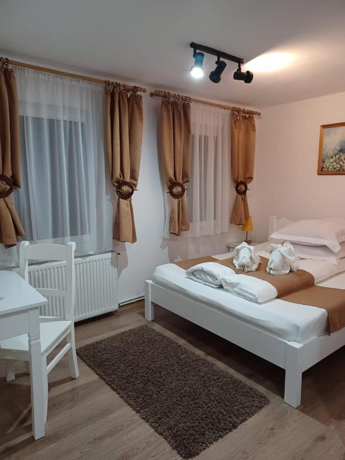 Pensiunea Ana Cristina Sighisoara Ngoại thất bức ảnh