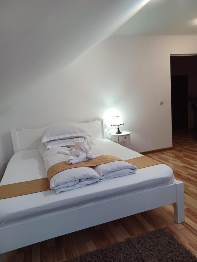 Pensiunea Ana Cristina Sighisoara Ngoại thất bức ảnh