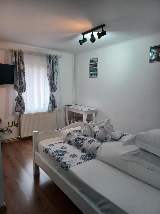Pensiunea Ana Cristina Sighisoara Ngoại thất bức ảnh